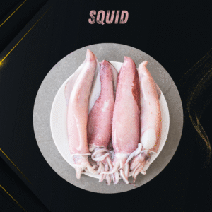 Squid
