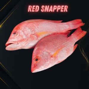 Red Snapper