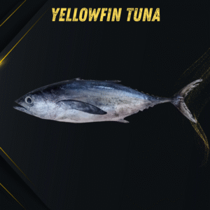 Yellowfin Tuna