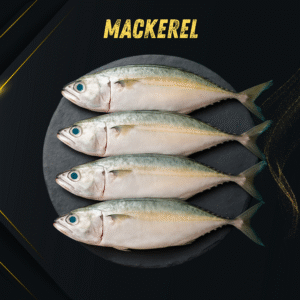 Indian Mackerel (Bangda / Kannaga)
